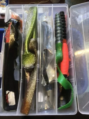 IMG_0179.webp IMG_0179.webp