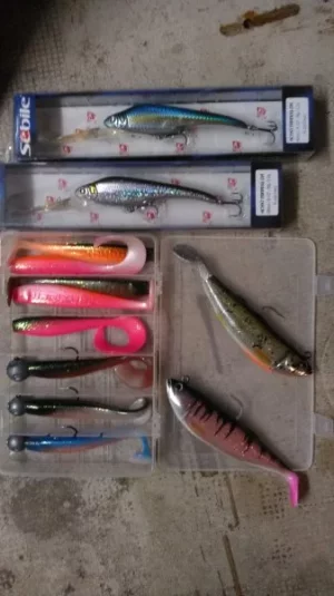 WP_20180227_19_32_00_Pro.webp WP_20180227_19_32_00_Pro.webp