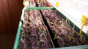 28.02.2018.3.jpg 28.02.2018.3.jpg