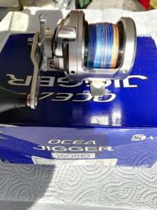 IMG_20180301_103214.jpg IMG_20180301_103214.jpg