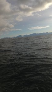 0B0B527F-AF2E-42E1-9431-118C4AFAF15E.jpeg 0B0B527F-AF2E-42E1-9431-118C4AFAF15E.jpeg