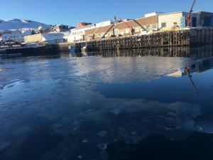 EAA41F58-826F-4101-867A-28A2914F4FF7.jpeg