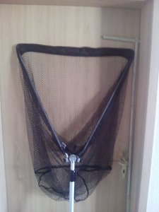 IMG_20180308_150339.jpg IMG_20180308_150339.jpg