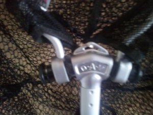 IMG_20180308_150345.jpg IMG_20180308_150345.jpg