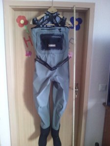 IMG_20180308_151112.jpg IMG_20180308_151112.jpg