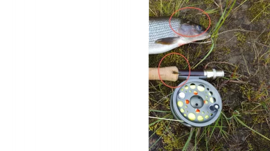 20170822_081622 Kopie .webp 20170822_081622 Kopie .webp