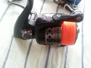 20180315_112608.jpg