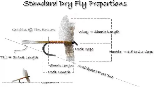 dry-fly-proportions.webp