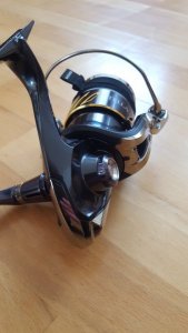 20180318_125347.jpg