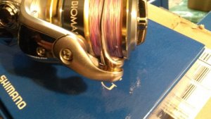 WP_20180320_11_14_44_Pro.jpg
