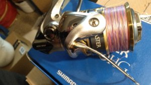 WP_20180320_11_14_54_Pro.jpg