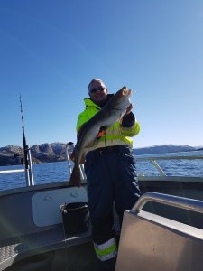 20180326_140916.jpg 20180326_140916.jpg