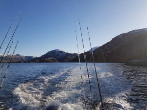 20180327_172153.jpg 20180327_172153.jpg