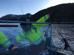 IMG-20180327-WA0009.jpg IMG-20180327-WA0009.jpg