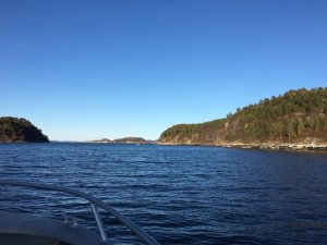 IMG-20180327-WA0013.jpg IMG-20180327-WA0013.jpg