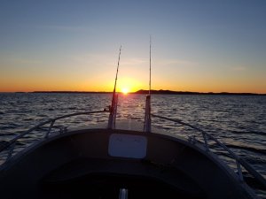 20180327_195025.jpg 20180327_195025.jpg