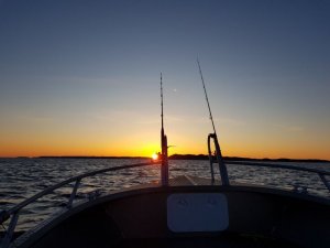 IMG-20180329-WA0000.jpg IMG-20180329-WA0000.jpg