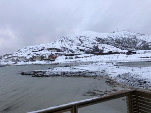 AB33CCBB-26AC-4F9D-A1DF-6704593B5477.jpeg AB33CCBB-26AC-4F9D-A1DF-6704593B5477.jpeg