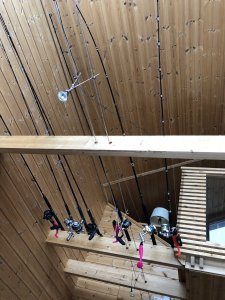 1BE12A63-91F5-4C6A-B891-AD5991165751.jpeg 1BE12A63-91F5-4C6A-B891-AD5991165751.jpeg