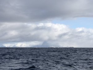 41C6B60C-C99B-433C-BC5C-63DBB373C9AA.jpeg 41C6B60C-C99B-433C-BC5C-63DBB373C9AA.jpeg