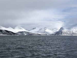 23BA5523-324C-4789-9D27-4285B7CE0307.jpeg