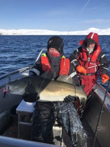 BA79D0F3-5B2D-4D74-A0BE-D15CA3CA337A.jpeg BA79D0F3-5B2D-4D74-A0BE-D15CA3CA337A.jpeg