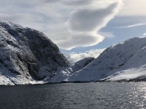 22C4CD68-E881-4A9C-90D9-FB800B0980AF.jpeg 22C4CD68-E881-4A9C-90D9-FB800B0980AF.jpeg