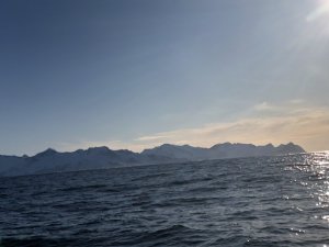 428DAD61-CEA9-4437-B68E-1F551B89C48C.jpeg 428DAD61-CEA9-4437-B68E-1F551B89C48C.jpeg