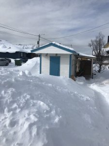 F7B45D36-F31A-4082-9902-7EBE72469029.jpeg F7B45D36-F31A-4082-9902-7EBE72469029.jpeg