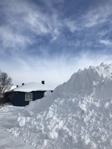 55563729-B41E-4112-98D6-513869545A09.jpeg 55563729-B41E-4112-98D6-513869545A09.jpeg