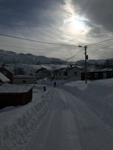 19639838-1DA3-4231-A229-AE8827BB92E0.jpeg 19639838-1DA3-4231-A229-AE8827BB92E0.jpeg