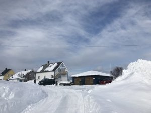 E7CF0668-8A72-440F-A0DF-E0E1D2030C1B.jpeg E7CF0668-8A72-440F-A0DF-E0E1D2030C1B.jpeg