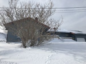 E19F5A9F-9DFB-40B1-BC38-363042FEF08E.jpeg E19F5A9F-9DFB-40B1-BC38-363042FEF08E.jpeg