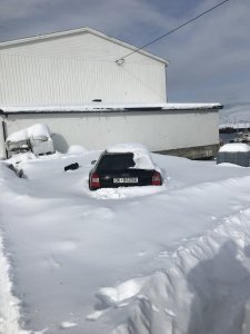 AC8798E4-CEDD-4074-8D9A-6400AB468DF1.jpeg AC8798E4-CEDD-4074-8D9A-6400AB468DF1.jpeg