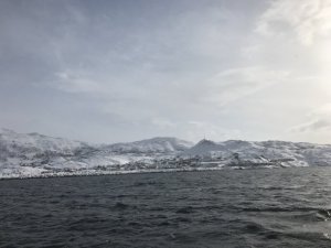 981E58DD-E194-4E1F-A948-A9469DD75768.jpeg
