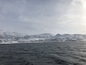 E0D05E7E-D273-477B-B10C-2F8792B779EB.jpeg E0D05E7E-D273-477B-B10C-2F8792B779EB.jpeg