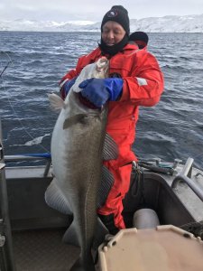 93F5D3AC-5816-4DC7-BE05-E5E51682BB12.jpeg 93F5D3AC-5816-4DC7-BE05-E5E51682BB12.jpeg