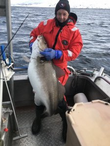 64EF236A-9477-40FD-A9DB-8970A6C472D7.jpeg 64EF236A-9477-40FD-A9DB-8970A6C472D7.jpeg