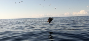 39BBCD04-230A-4184-ADD5-0E0932BD3A59.png 39BBCD04-230A-4184-ADD5-0E0932BD3A59.png