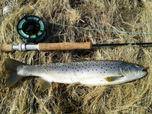 haderslev marts 2013.jpg haderslev marts 2013.jpg