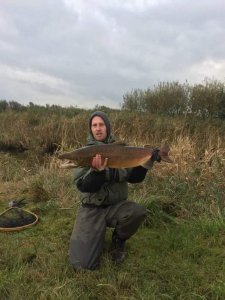 Lachs Bröns Au Oktober 2016 .JPG