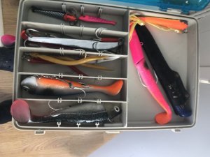 7E3EF2EF-2E16-4037-86C3-2D93D88198D1.jpeg 7E3EF2EF-2E16-4037-86C3-2D93D88198D1.jpeg