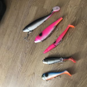 5B173B09-188C-4D5F-9431-F8EE5C5D098C.jpeg 5B173B09-188C-4D5F-9431-F8EE5C5D098C.jpeg