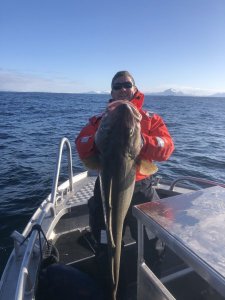 D1018746-8E92-4528-927A-B41F4739714D.jpeg D1018746-8E92-4528-927A-B41F4739714D.jpeg