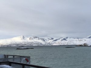 9E45A726-7CED-4646-ACFF-DF652CBB3CF1.jpeg 9E45A726-7CED-4646-ACFF-DF652CBB3CF1.jpeg