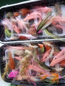 20180405_175715.jpg 20180405_175715.jpg