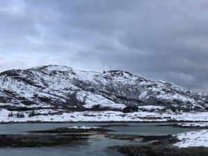 5355EEB8-B548-4361-AB63-020F4DEB34A0.jpeg 5355EEB8-B548-4361-AB63-020F4DEB34A0.jpeg