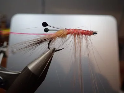 P4080027.webp P4080027.webp