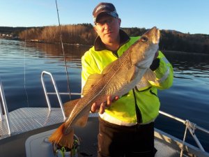 B5200F8E-6E2F-4CC5-9E91-62233127E51D.jpeg B5200F8E-6E2F-4CC5-9E91-62233127E51D.jpeg