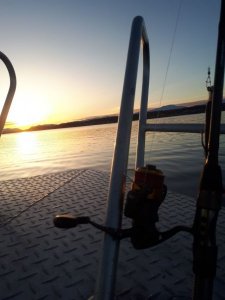 C6FD6FAF-699E-487C-A244-4FDAAA1B3B35.jpeg C6FD6FAF-699E-487C-A244-4FDAAA1B3B35.jpeg